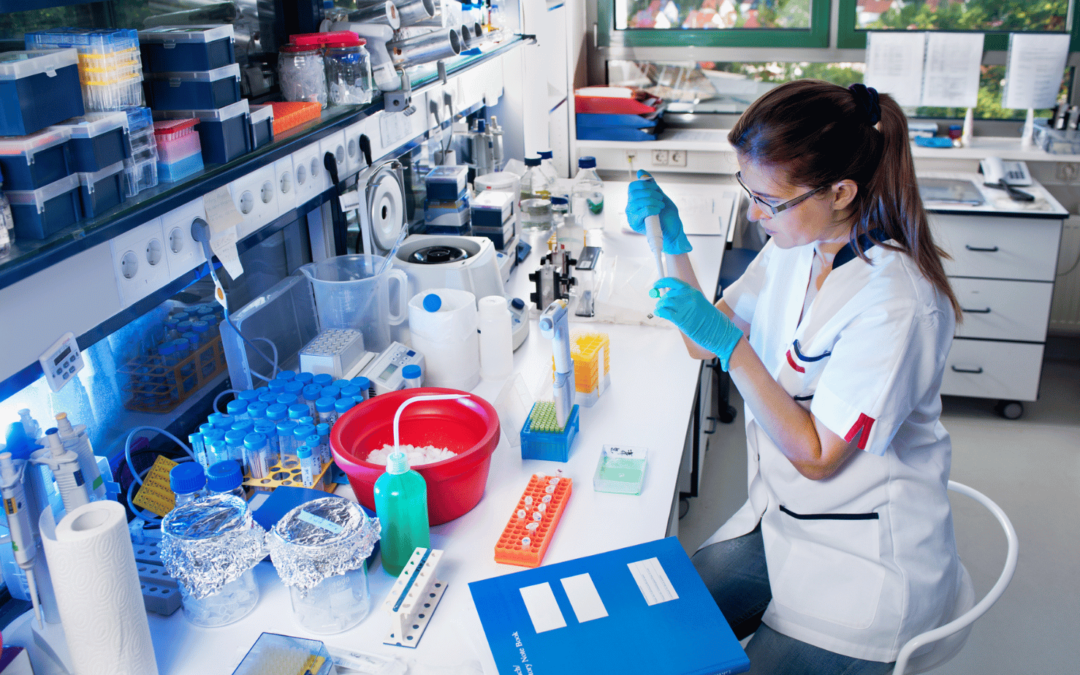 Laboratoare